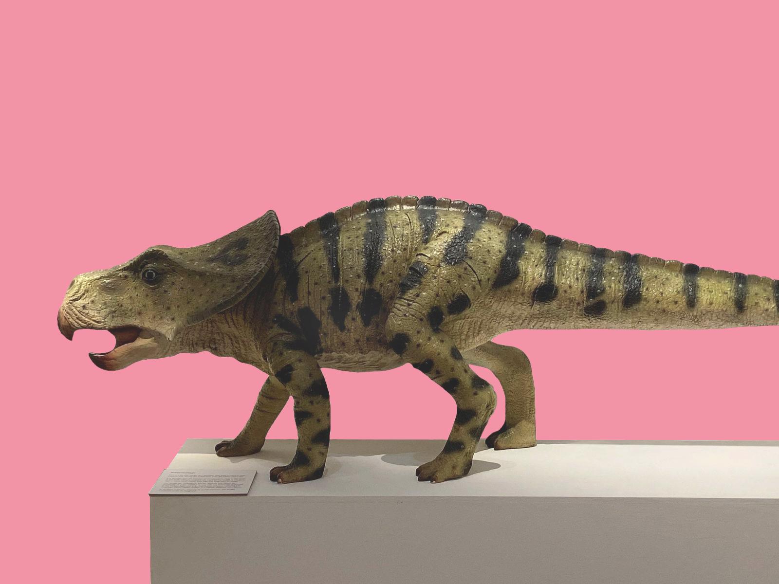 Dinosaurium: Re-imagined Creatures