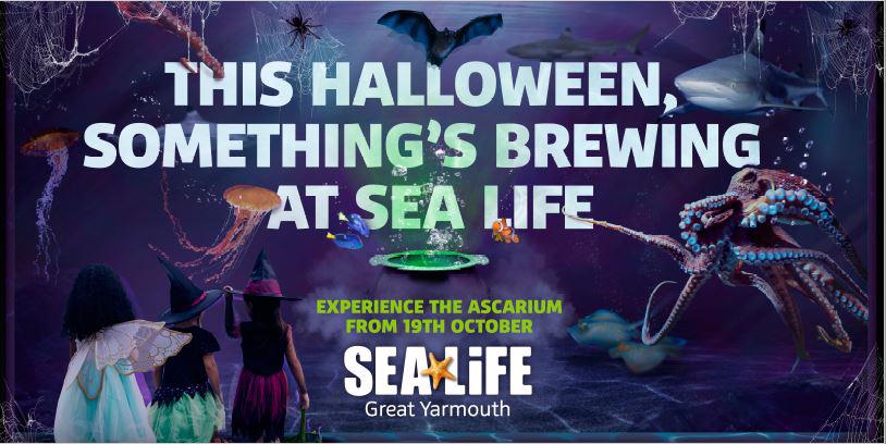 Sea Life Ascarium